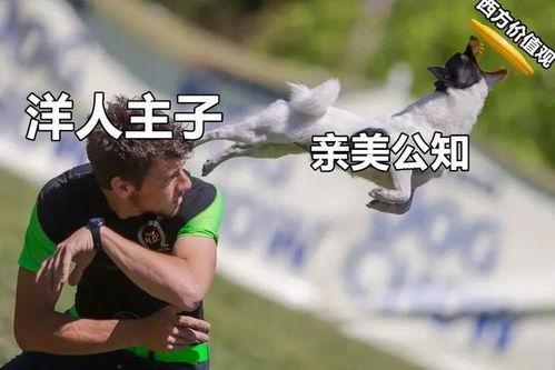 美国著名记者爆料新闻,美国记者独家爆料重大新闻事件